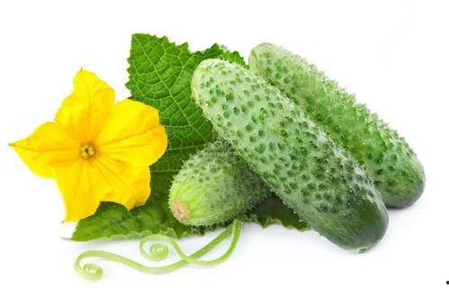 保定娱乐圈吃瓜系统,揭秘幕后风云，吃瓜群众狂欢盛宴